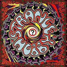Strange Hobby d'Arjen Anthony Lucassen